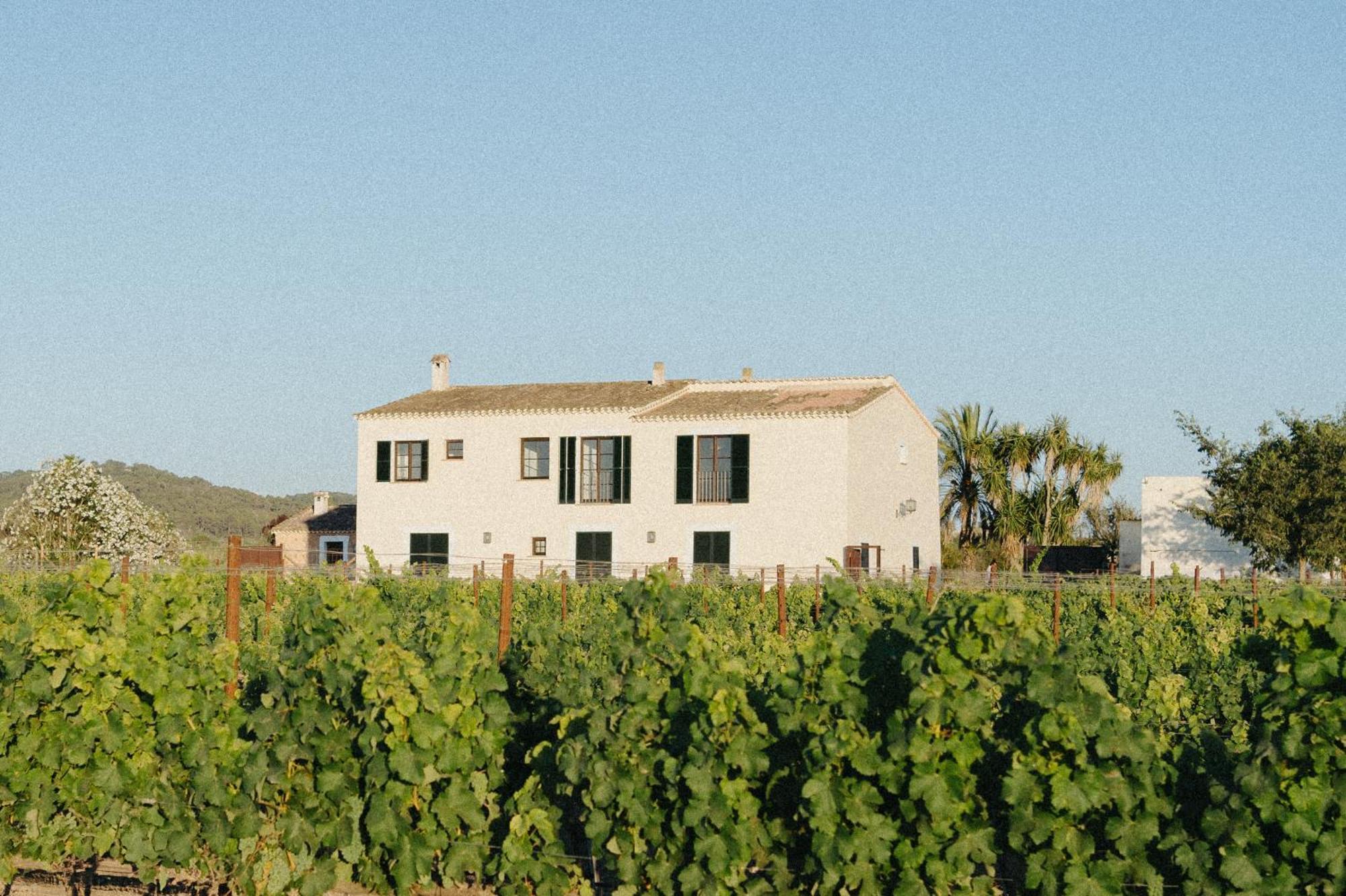 Vino Resort Son Amaret ソン・マシア エクステリア 写真